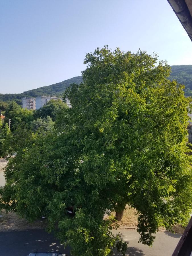 Retro Apartment Malko Tŭrnovo المظهر الخارجي الصورة